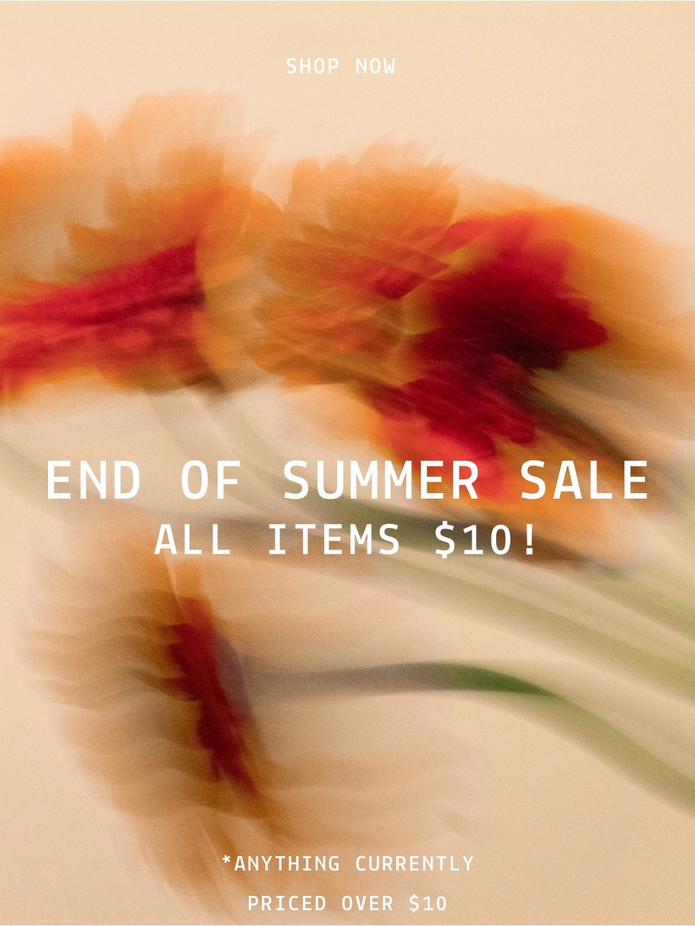 END OF SUMMER SALE - EVERYTHING $10!